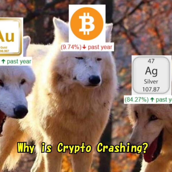 سعر الفضة مقابل BTC/USD: أيهما استثمار أفضل في 2026؟