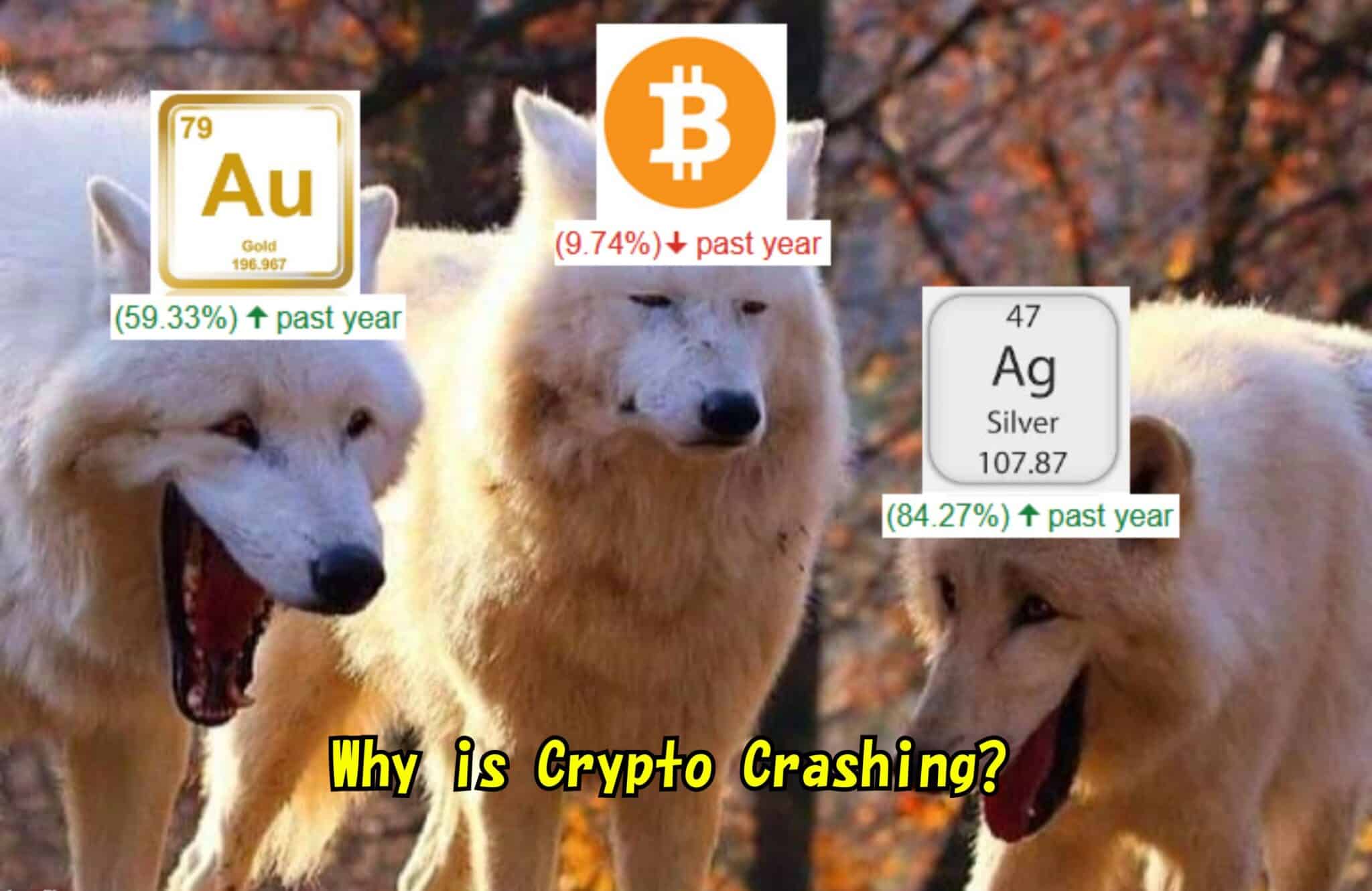 سعر الفضة مقابل BTC/USD: أيهما استثمار أفضل في 2026؟