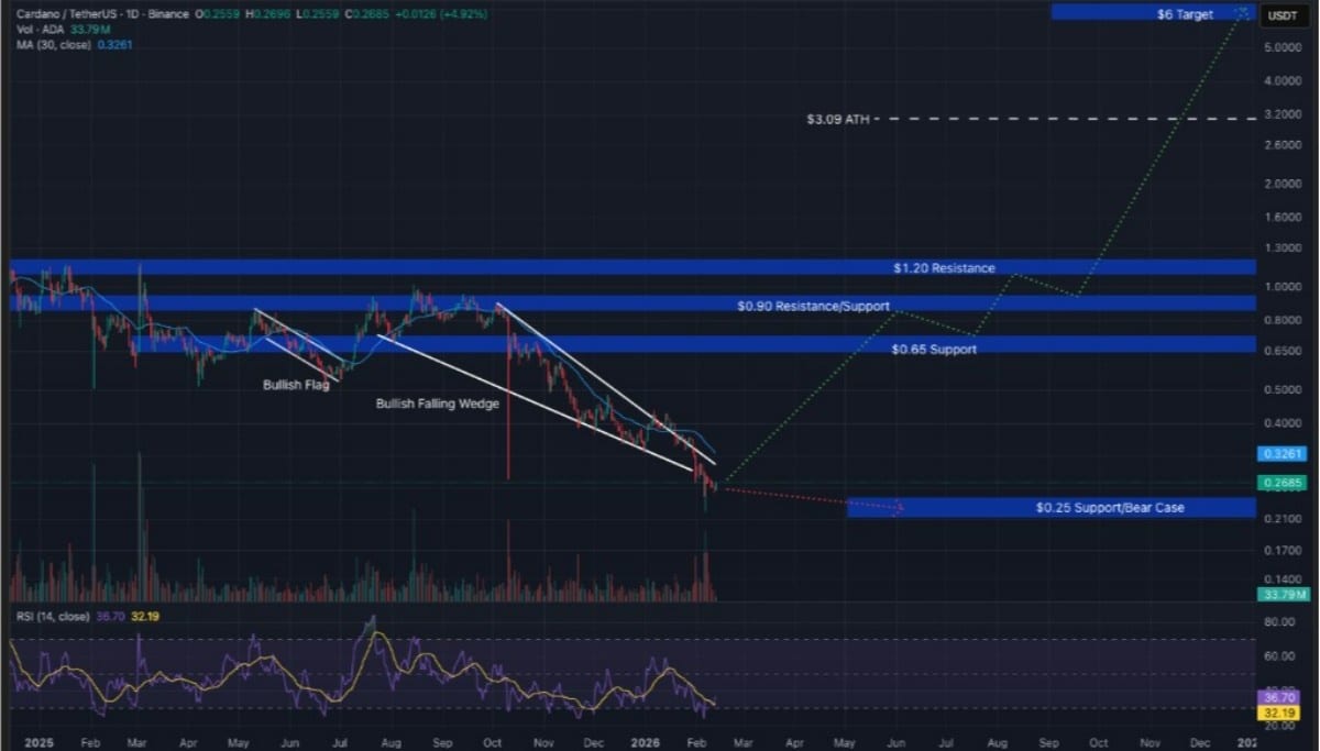cardano-chart