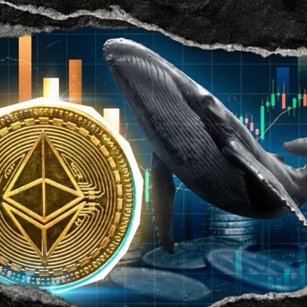 ارتفاع حاد في سعر الإيثيريوم! عمليات شراءٍ ضخمة من قِبَل كبار المستثمرين