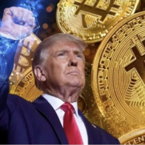 دعت إلى عدم قيام الاحتياطي الفيدرالي ووزارة الخزانة بإنقاذ أصحاب المليارات في مجال العملات المشفرة، خشية تأثير ترامب