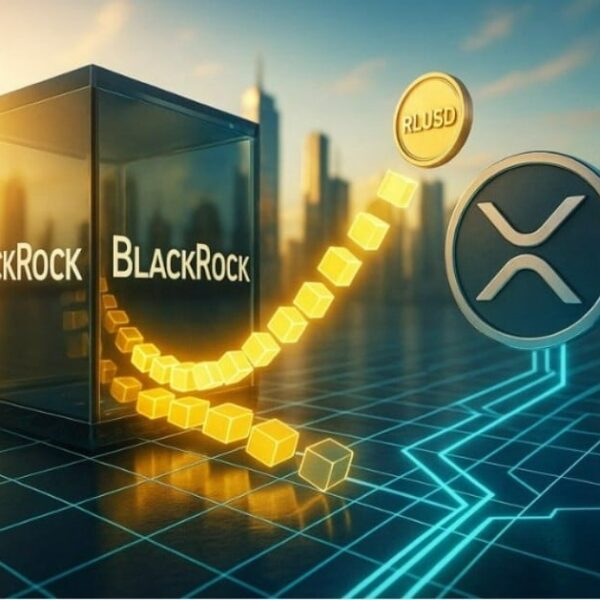 تحليل عملة XRP: تأثير صندوق بلاك روك المتداول وقانون كلاريتي على ريبل