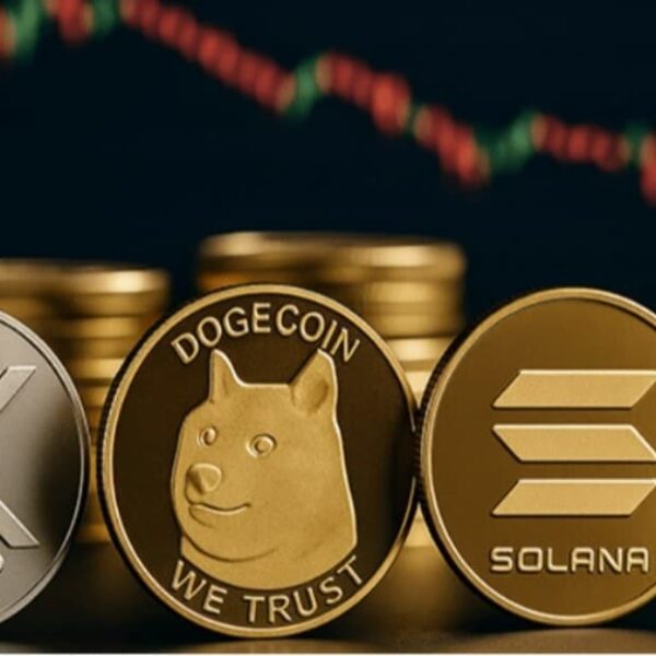 XRP، سولانا، ودوجكوين: أفضل توصيات العملات الرقمية لشهر فبراير 2026