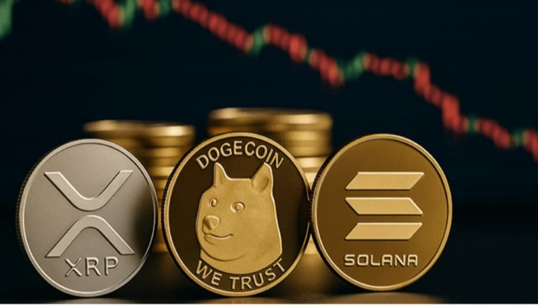 XRP، سولانا، ودوجكوين: أفضل توصيات العملات الرقمية لشهر فبراير 2026