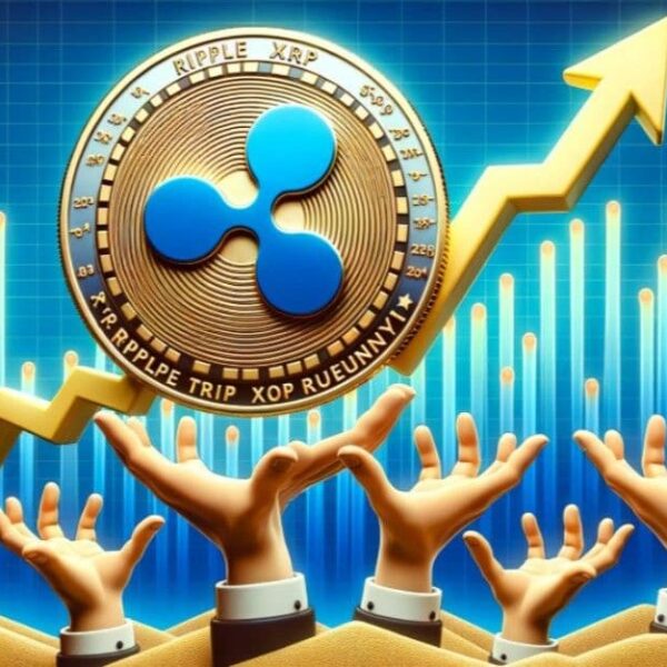ليس لعملة XRP مستقبل: ماذا تخبرنا الأرقام حقاً؟