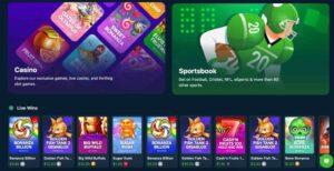 Wild.io – Um cassino de criptomoedas com ofertas de bônus