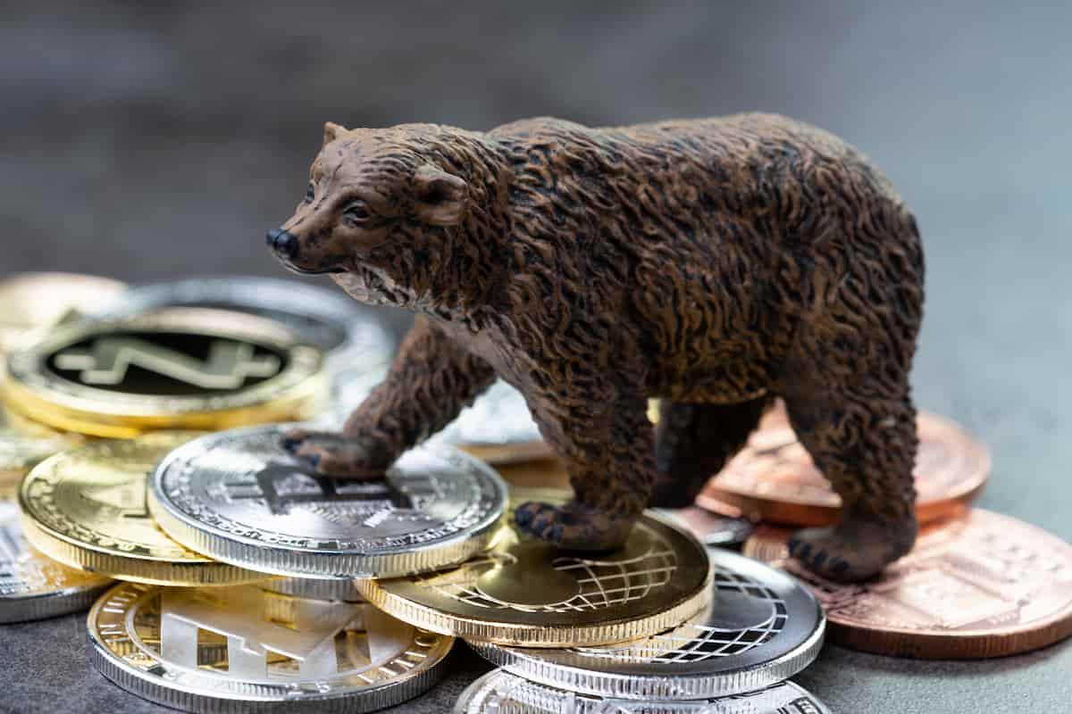 whales compram criptomoeda promissora