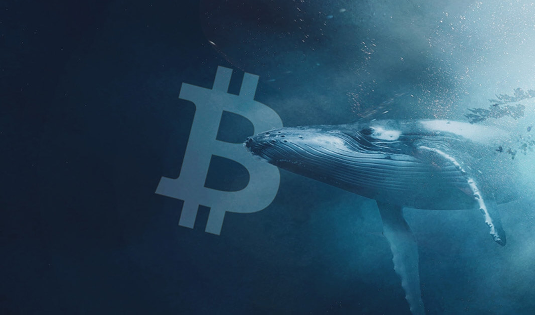 Whales fazem Short a BTC: eis os cuidados a ter hoje