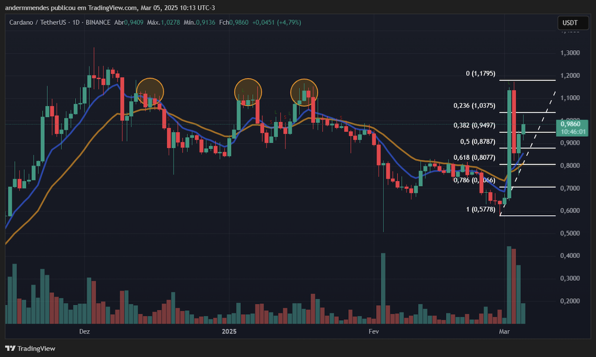 Cardano em nova alta