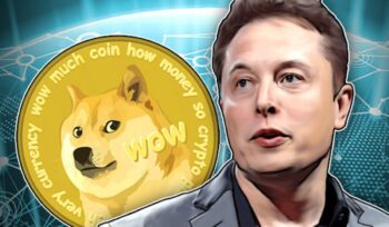 Especialistas encontram sucessora de Dogecoin para guardar até à Bull Market