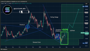 Previsão Solana em 2025: eis o motivo para SOL dar outperform a Bitcoin