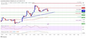 Especialistas disparam na Previsão Ripple, caso SEC aprove ETF XRP