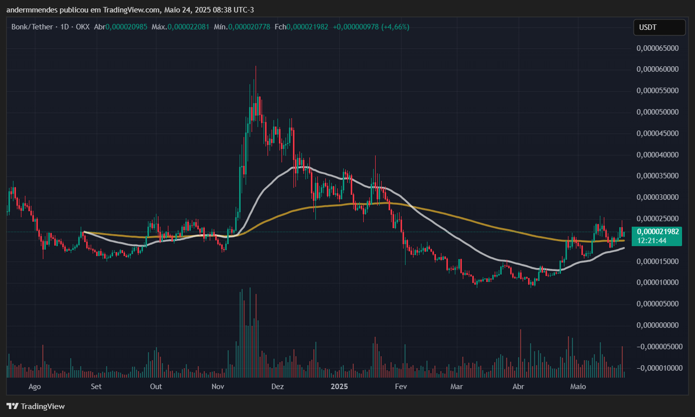 Gráfico do Bonk (BONK) no TradingView