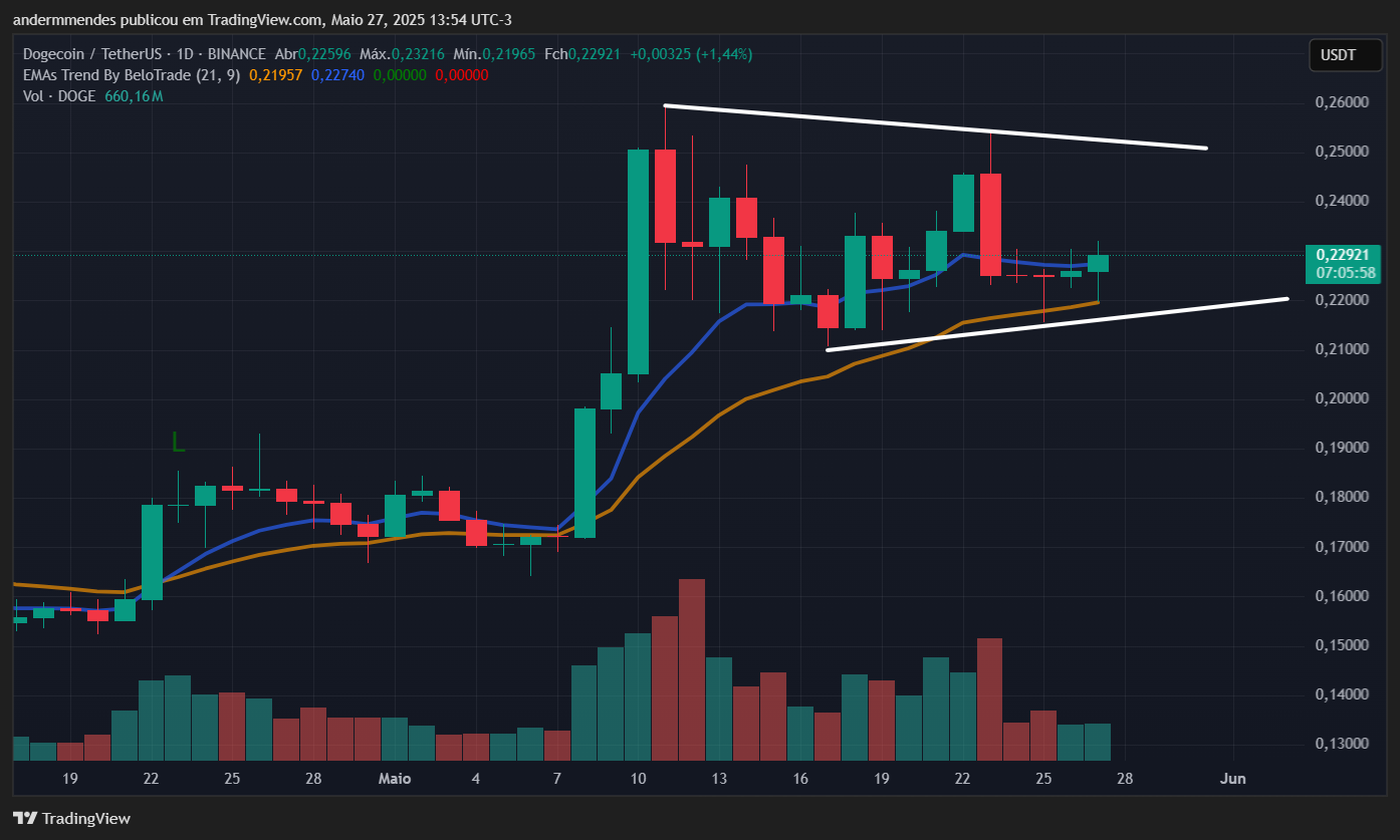 Gráfico da Dogecoin (DOGE) no TradingView
