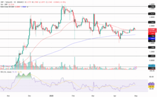 Baleias investem forte em Ripple: eis o que sabem e o Gráfico indica