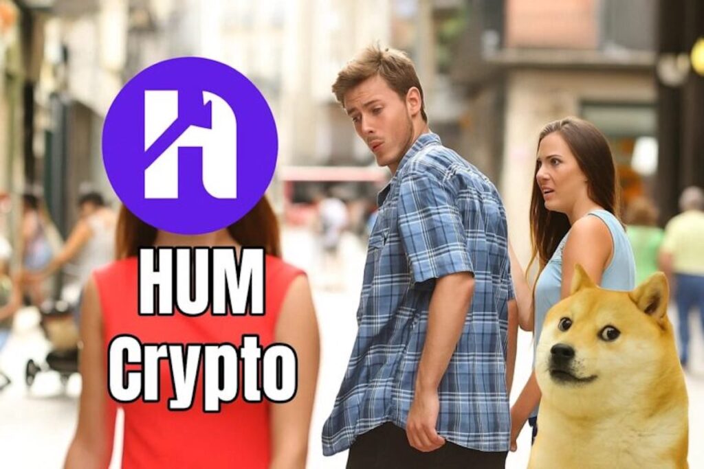 O que é HUMA e por que está na mira das baleias?