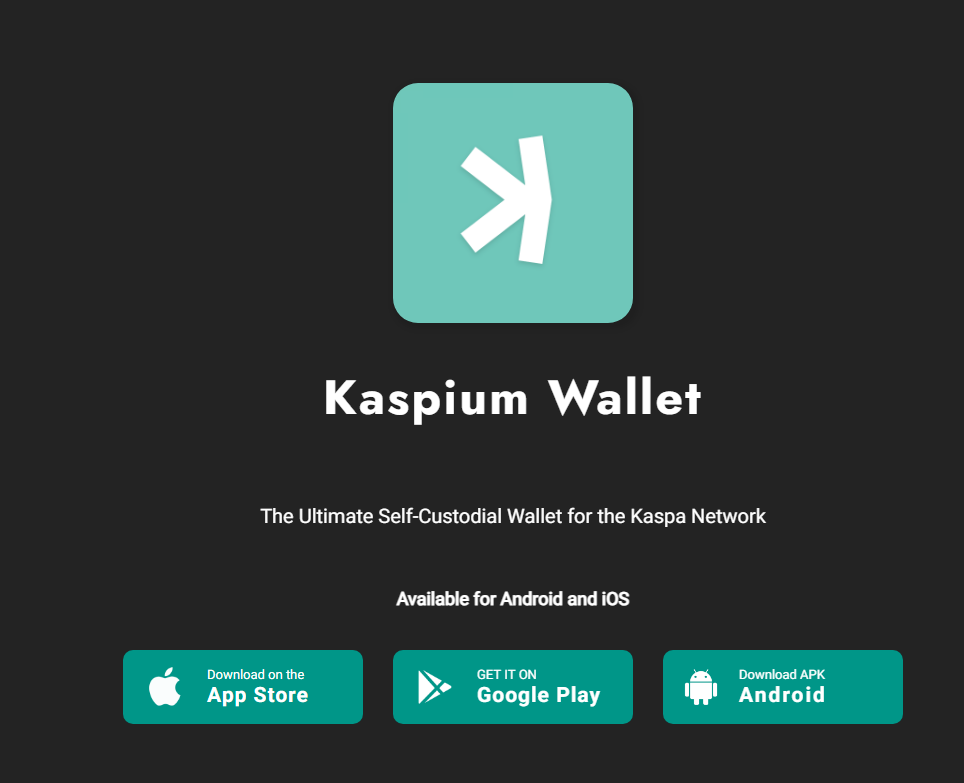 Kaspium é outra carteira voltada para usuários Kaspa