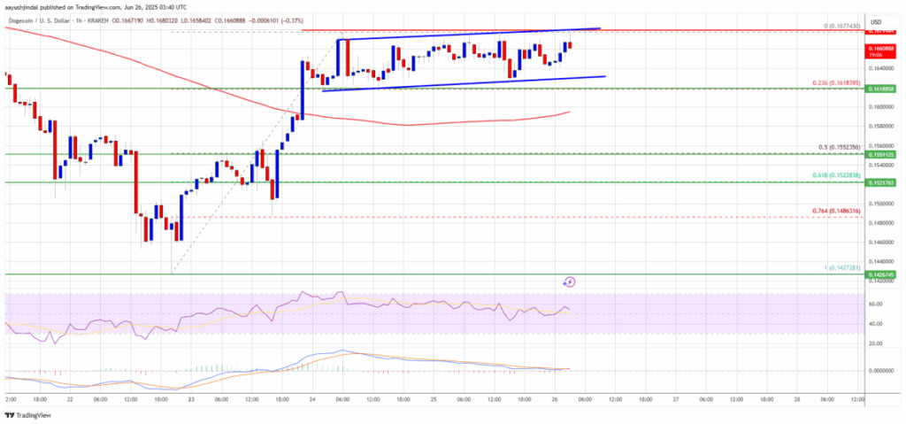 Traders defendem reversal de 30% no preço de Dogecoin: catalisadores e targets