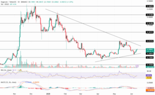 Traders revelam novos targets para Dogecoin: será o retorno das memecoins?