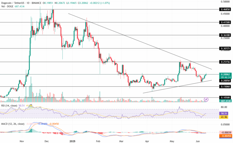 Traders revelam novos targets para Dogecoin: será o retorno das memecoins?