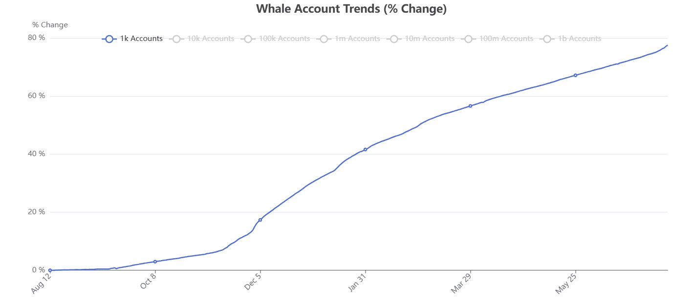 Whale Account Trends. Fonte: HederaWatch 