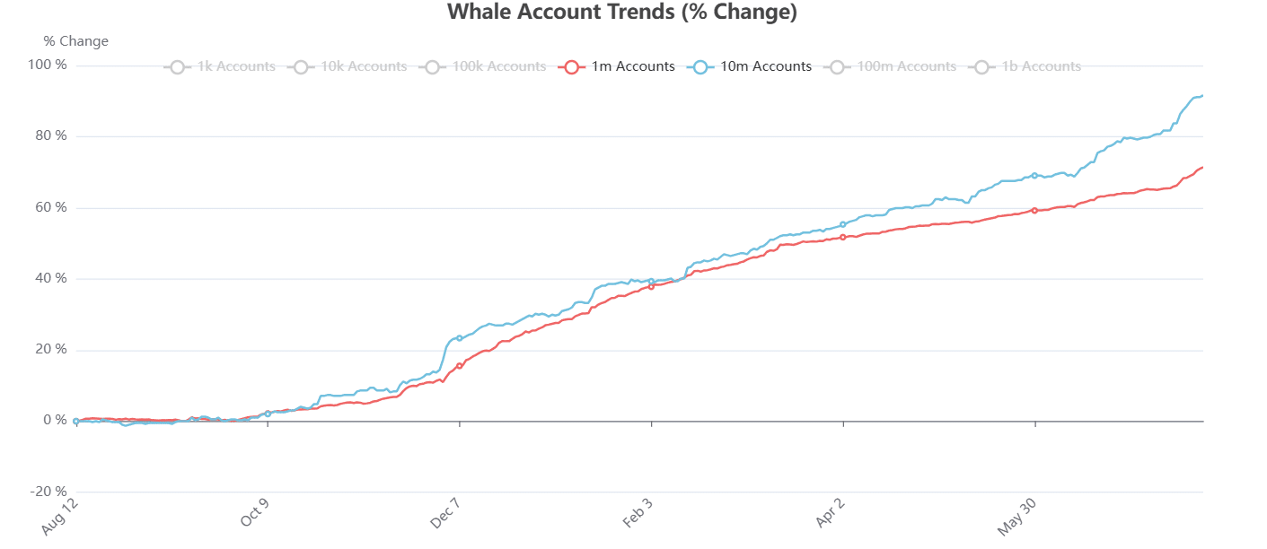 Whale Account Trends. Fonte: HederaWatch