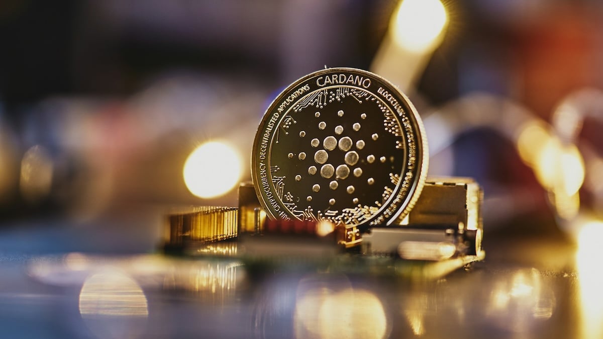 Cardano recusou parceria com El Salvador, revela fundador da rede