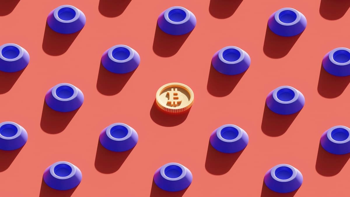 btc-projeto-dorsey