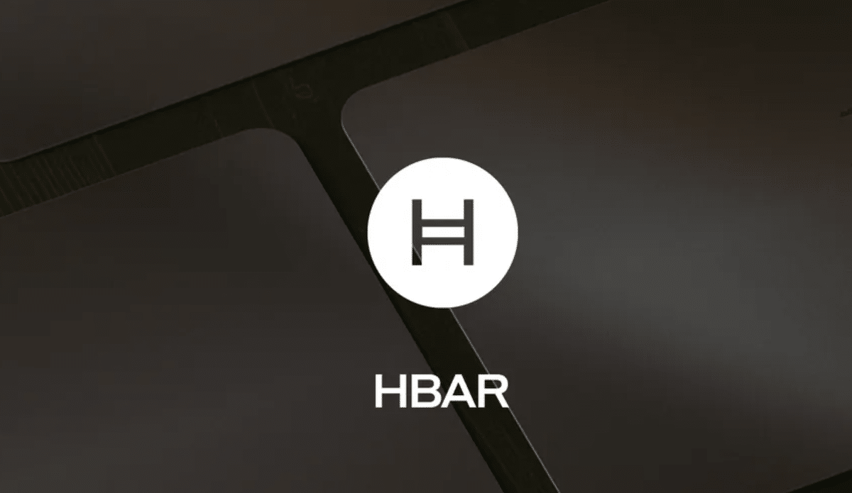 Baleias compram Hedera: ativo seguirá em alta?
