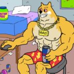 Maxi Doge entre os melhores ICOs