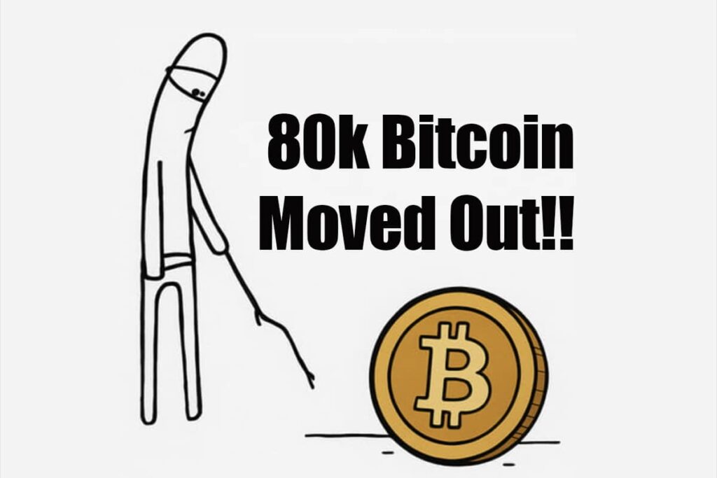 Mais uma saga do BTC: 80.000 unidades são movidas de carteiras inativas há 14 anos