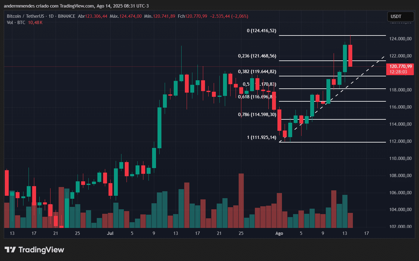 BTC registra nova ATH e ultrapassa o Google – Bitcoin hoje (14/08) -  99Bitcoins Brasil