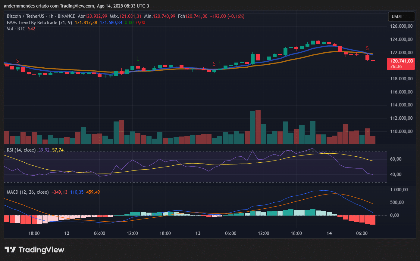 BTC registra nova ATH e ultrapassa o Google – Bitcoin hoje (14/08) -  99Bitcoins Brasil