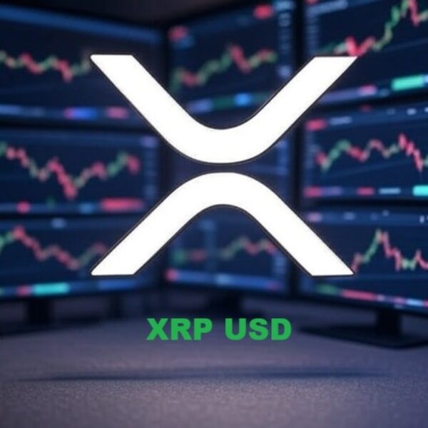 Grandes investidores aumentam posições em XRP: valor pode atingir US$ 10 no 4º trimestre