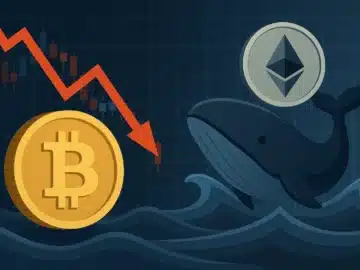 BTC cai para 115 mil dólares, enquanto baleias apostam no ETH
