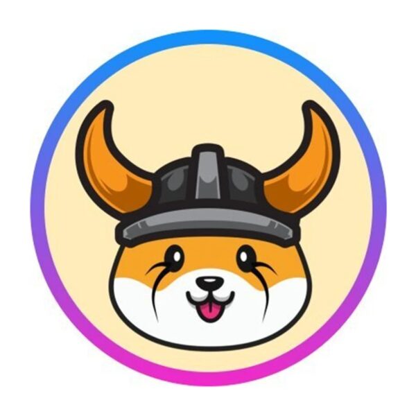Token FLOKI dispara após listagem na Robinhood e valor de mercado ultrapassa US$ 1 bilhão