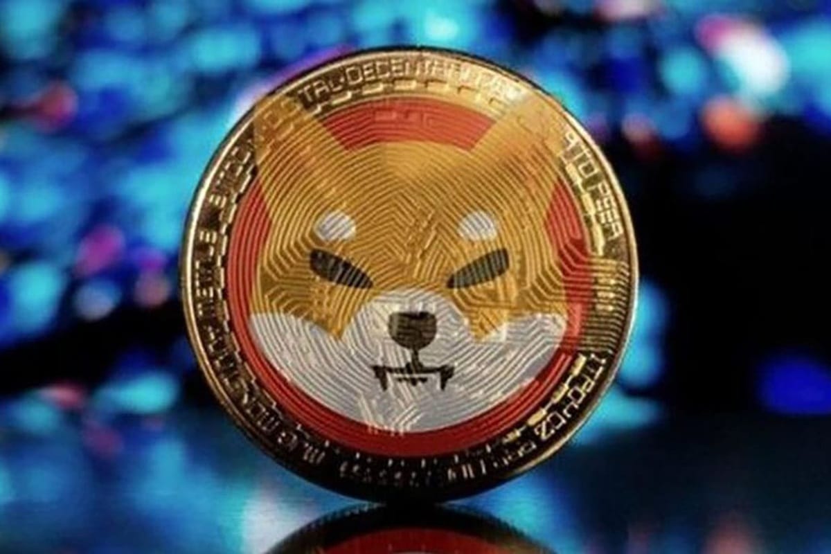 Shiba Inu (SHIB) cai, mas indicadores on-chain apontam reversão -  99Bitcoins Brasil
