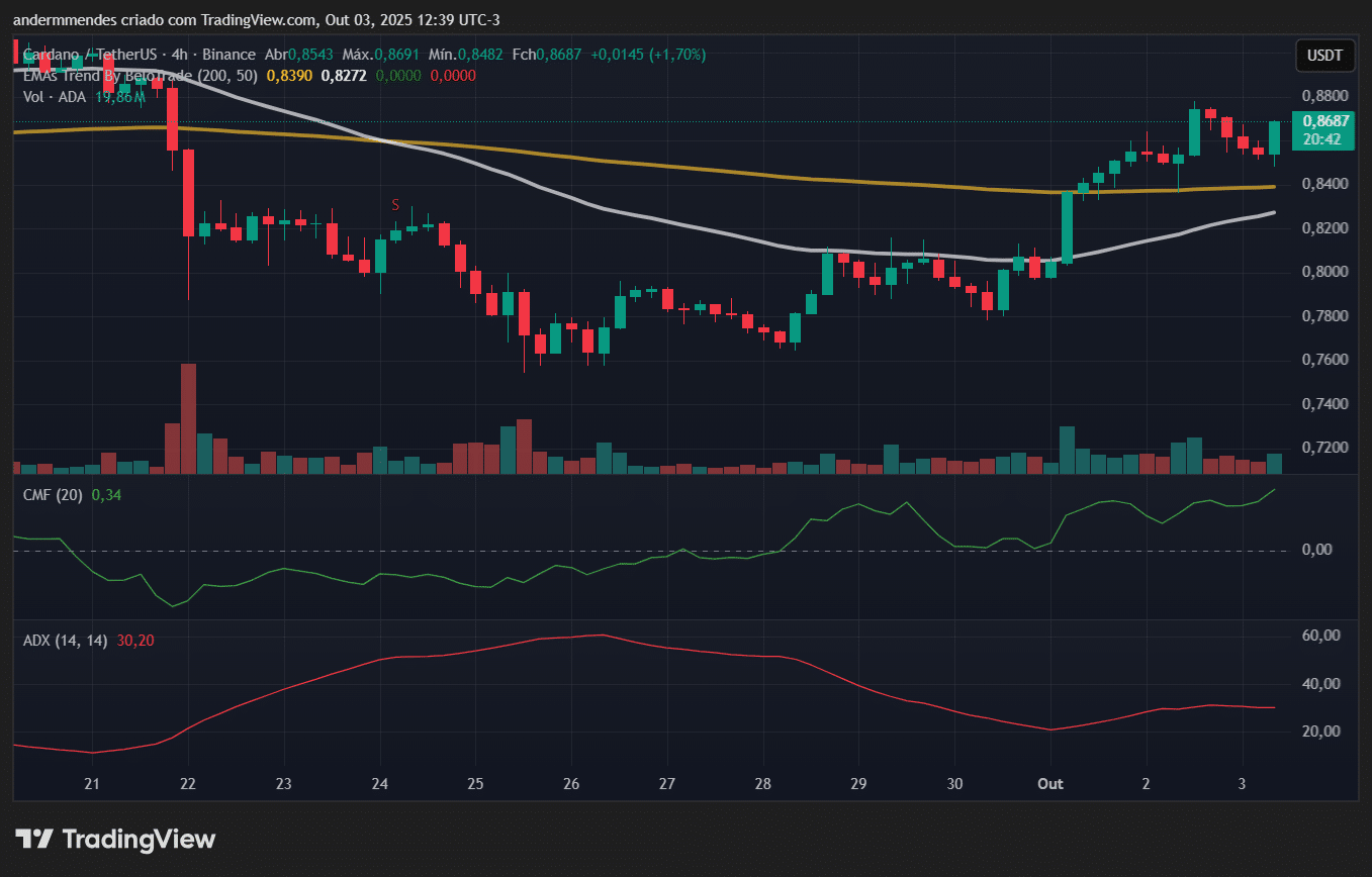 Cardano hoje: staking do Google pode desencadear nova alta? - 99Bitcoins  Brasil