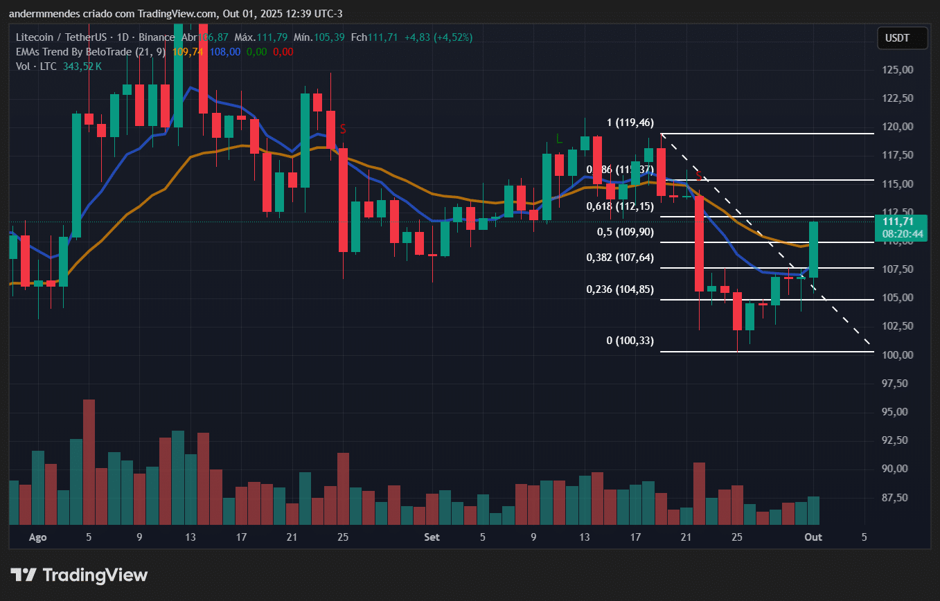 Vale comprar Litecoin? Baleias sugerem que sim! - 99Bitcoins Brasil