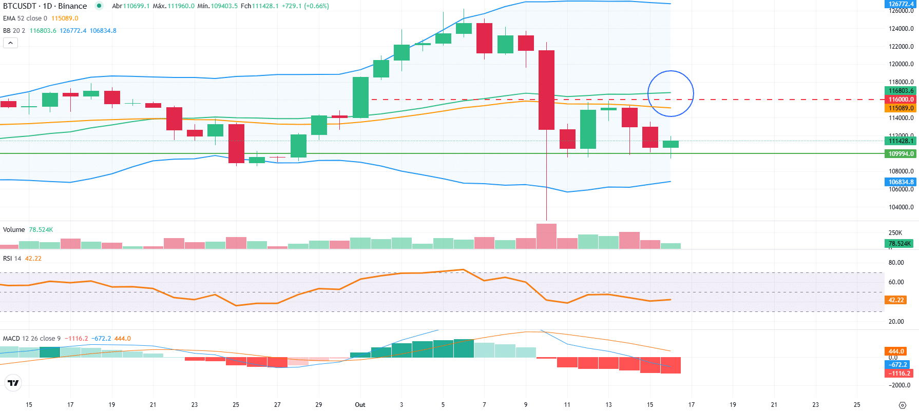 Bitcoin Defende US$ 110 Mil com Dados On-Chain Otimistas - Análise BTC Hoje  (16/10) | Brazil