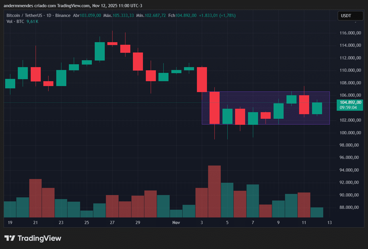 BTC se estabiliza e ETFs sinalizam nova alta – Bitcoin hoje (12/11) -  99Bitcoins Brasil