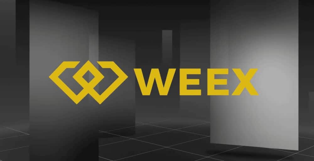 trading com margem na weex