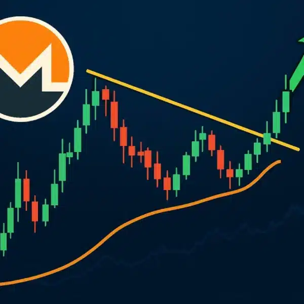 Monero volta a destacar-se: XMR aponta para um breakout histórico após 7 anos