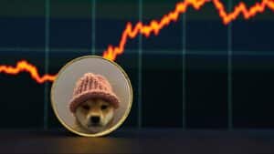 dogwifthat beitrags