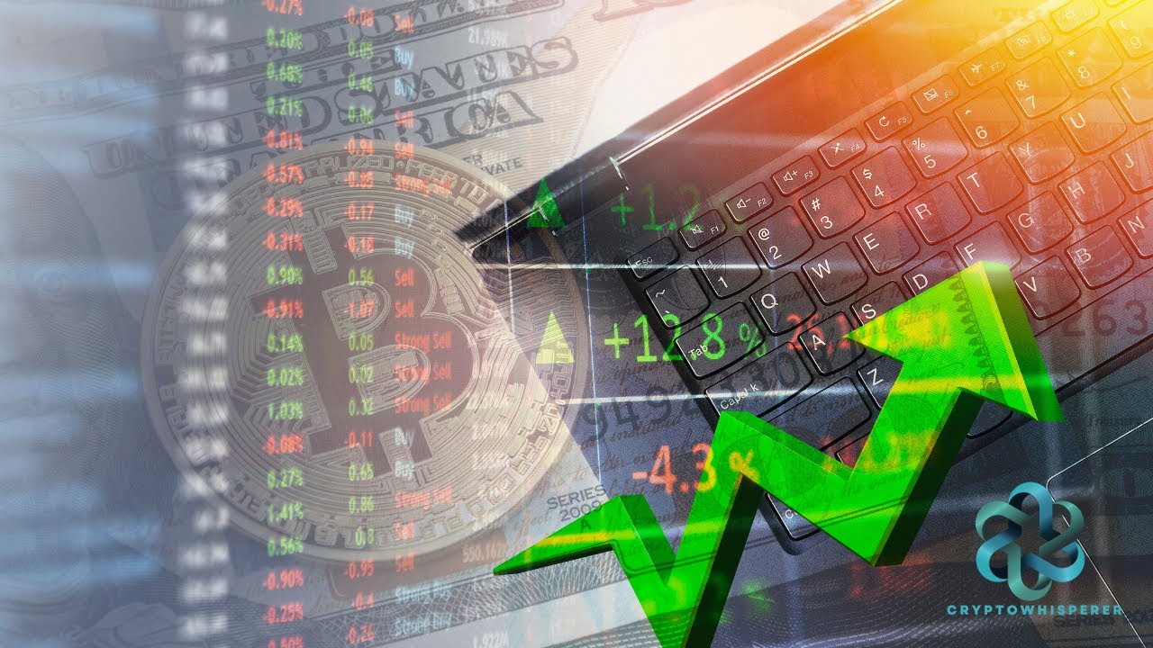 Crypto Bull Run erklärt: Trends, Strategien & Risiken 2026