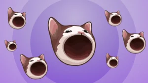 popcat beitrags
