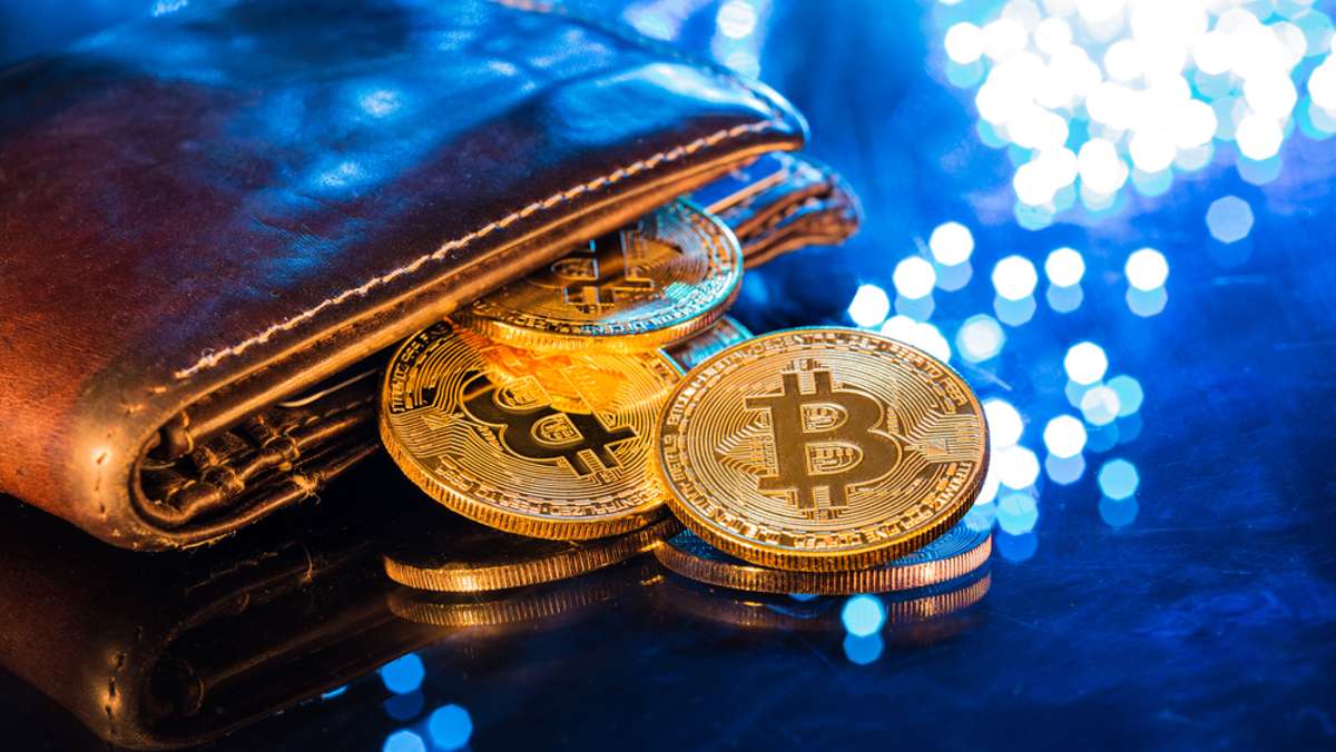 Wie man eine Krypto Wallet bekommt