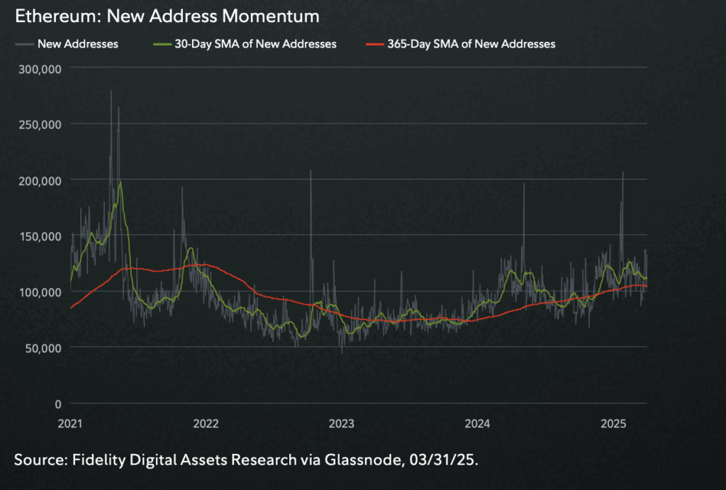 Ethereum New Adress Momentum
