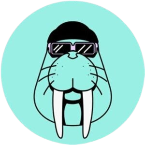 Walrus Coin Logo