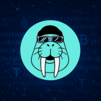 Walrus kaufen